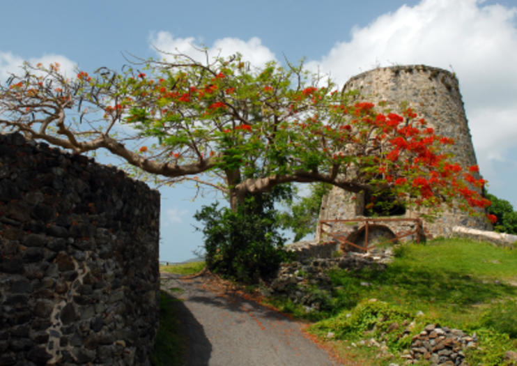 beautiful vacation villa rentals USVI